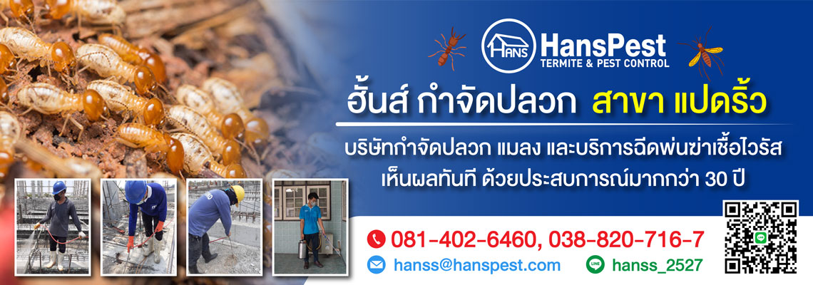 ฮั้นส์ กำจัดปลวก สาขาแปดริ้ว